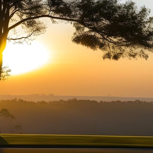 Sunset Zoom Background, Photography Backdrop, Work from Home Office Backdrop, Trees Landscape, MS Teams Digital Download Virtual Background,