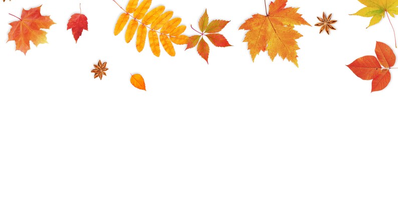 Fall Zoom Background, Home Office Zoom Backdrop, Autumn Virtual ...