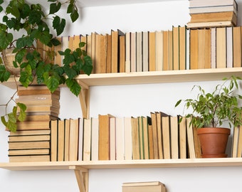 Zoom Backgrounds Bookcase, Realistic Shelves Virtual Background, Bookshelf Home Office Zoom Backdrop, Digital Zoom Meeting Teams Background