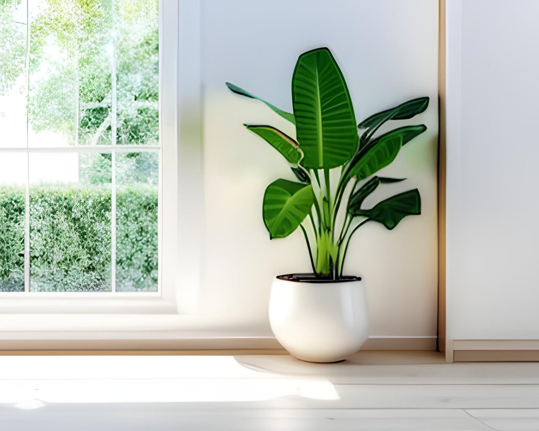 Bright and Professional Zoom Background, Virtual Background, Work From Home Backdrop, Digital