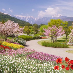 Scenic Landscape Zoom Background, Work From Home Virtual Background with Sky and Flowers, Google Meet MS Teams Colorful Digital Backdrop