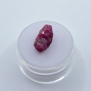 Puede incluir: Una piedra preciosa de rubí rojo intenso con una forma rugosa y natural. El rubí se muestra en un recipiente de plástico transparente sobre un fondo blanco.