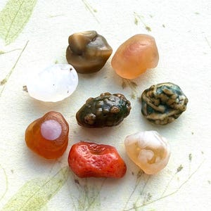May include: Eight polished stones of varying colours and textures. The stones include white, translucent, brown, orange, green, and red hues. Some have unique patterns and inclusions, demonstrating natural variations in the stones.