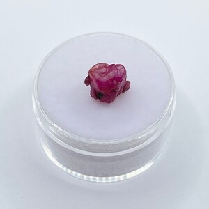 May include: A deep pink ruby gemstone with a rough, natural shape. The ruby is displayed in a clear plastic container.