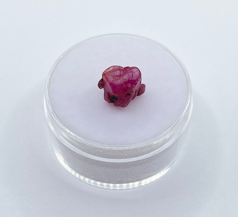 May include: A deep pink ruby gemstone with a rough, natural shape. The ruby is displayed in a clear plastic container.