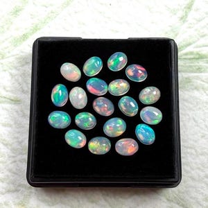 Peut inclure: Une collection d'opales ovales présentées dans un plateau noir. Les opales présentent une gamme de couleurs, notamment le bleu, le vert, le rose et l'orange, avec un aspect translucide. Les pierres précieuses sont disposées de près, mettant en valeur leur irisation unique.