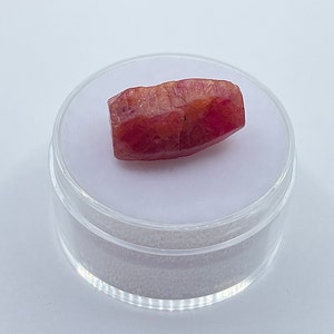 May include: A raw, reddish-pink gemstone is displayed in a clear, circular plastic container. The gemstone has a textured surface with varying shades of red and pink. The container is on a white surface.