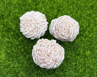 Rosa del desierto Selenita tamaño S (15-20 gramos) - Yeso - Bruto - Natural - Cristal con forma de rosa - Rosa de arena - Decoración del hogar - Ejemplar - de México
