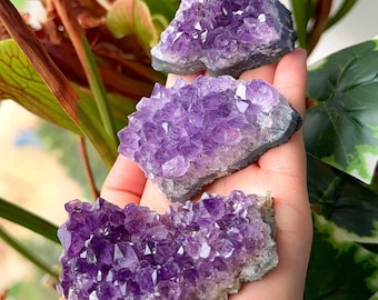 Racimos de amatista - Racimos de amatista púrpura natural - Cristal en bruto - Decoración del hogar - Piedra de nacimiento de febrero - de Brasil - Elige el tuyo