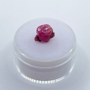 May include: A deep pink ruby crystal with a rough, faceted surface. The crystal is displayed in a clear plastic container.