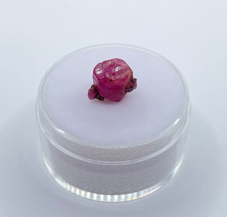 May include: A deep pink ruby crystal with a rough, faceted surface. The crystal is displayed in a clear plastic container.