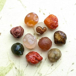 May include: A selection of polished stones in various colours and textures. The stones are in shades of orange, brown, green, and white, with unique patterns. The collection showcases a diverse range of shapes and sizes, creating a visually interesting assortment.