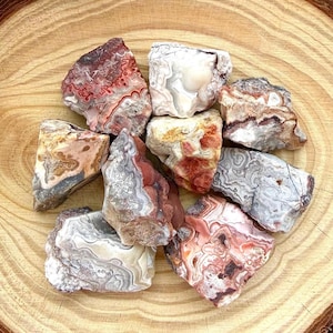May include: A selection of raw agate stones in various shapes and sizes. The stones display a range of colours, including red, white, grey, and brown, with intricate patterns and banding. The stones are arranged on a natural wood slice.