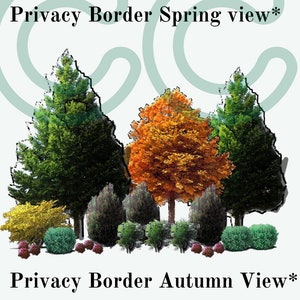 Northwest Native Privacy Border & Food Forest Landscape Design/Garden Plan