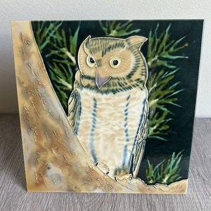 Vintage Owl Ceramic Painted Tile Trivet Hang on Wall Or Stand For Display