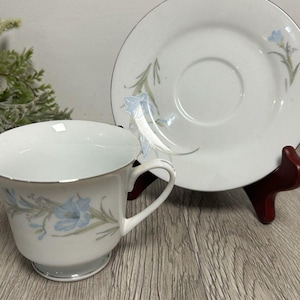 Vintage Bone China Porcelain Teacup & Saucer Blue Floral Silver Trim
