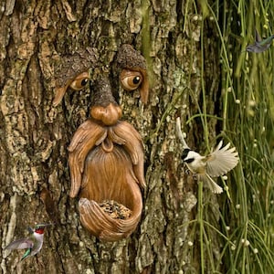 May include: A whimsical tree face sculpture with a beard and a bird feeder carved into the bark. The sculpture is brown with detailed features, including eyes and a nose. Several birds, including hummingbirds, are visible near the sculpture.