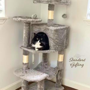 May include: A gray cat tree with multiple platforms, a cubby, and scratching posts. A black and white cat is resting inside the cubby. The text "Standout Gifting" is in the lower right corner.
