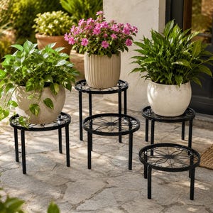 May include: A collection of black metal plant stands of varying heights, each supporting a potted plant. The plants include vibrant green foliage and flowering plants with pink blooms. The pots are in neutral tones.