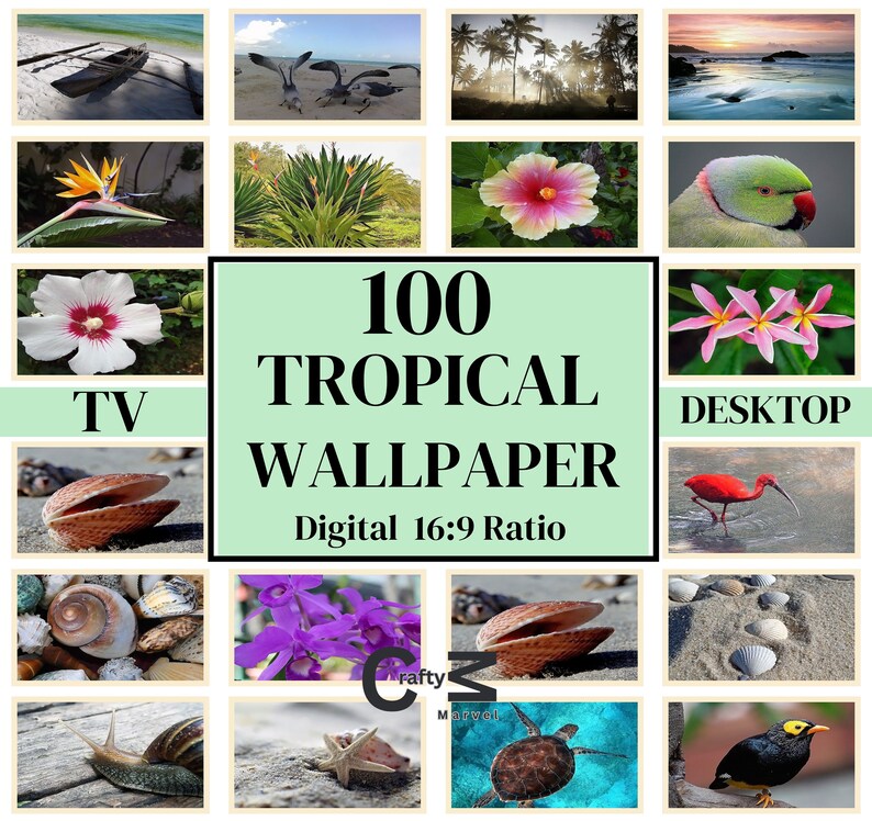 Tropical Wallpaper TV Desktop Wallpaper Paradise Birds Flowers Beaches ...