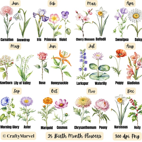 25 Birth Month Flowers Clipart, PNG, Watercolor Flowers Set, Watercolor Floral PNG Bundle, Custom Birthday Gift, Digital Download