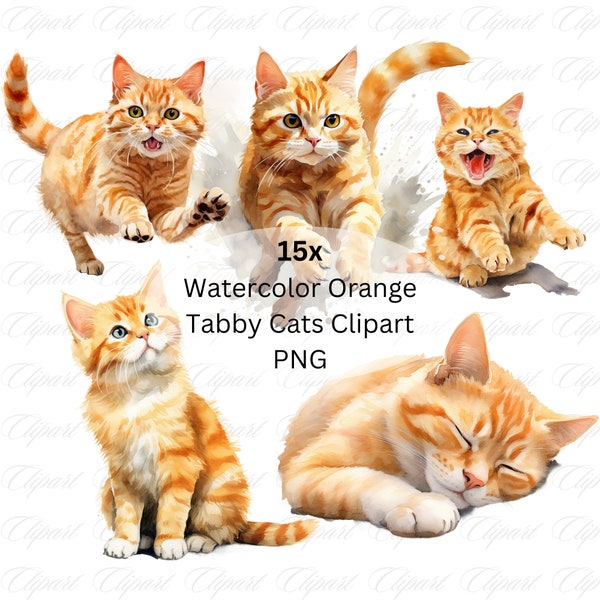 Watercolor Orange Tabby Cats Clipart Bundle, 15 PNG Files with High Resolution and Transparent Background, Animal Clipart, Digital Download
