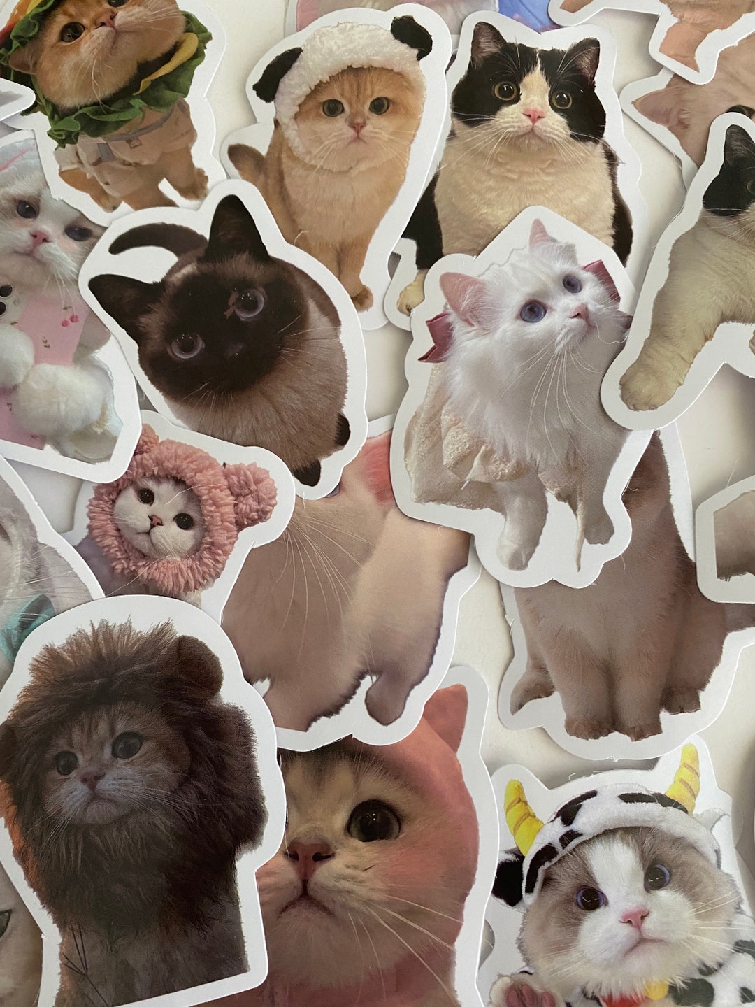 Cute Cat & Dog Stickers, Pet Stickers - Etsy