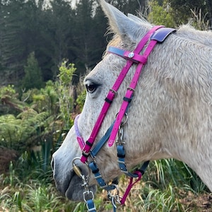 LS CrossOver Endurance 2 Part Bridle - Customisable Beta® BioThane® Halter & Bridle in One - with rope noseband