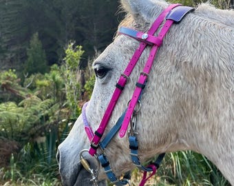 LS CrossOver Endurance 2 Part Bridle - Customisable Beta® BioThane® Halter & Bridle in One - with rope noseband