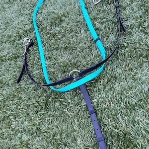 Custom BioThane® Running Martingale – Waterproof, Durable Horse Tack – Adjustable Training Martingale in Custom Colours by Limitless Stride™