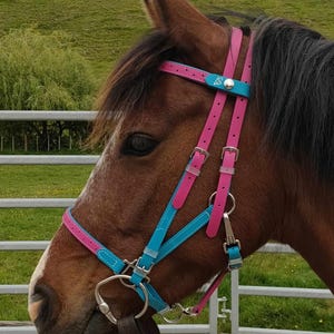 LS Deux 2-Part Endurance Detailed Bridle - Customisable Beta® BioThane® Halter & Bridle in One