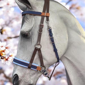 May include: A close-up of a horse head with a blue, brown, and tan leather bridle. The bridle has silver metal hardware and is set against a blurred background of white and pink blossoms.