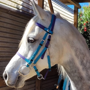 LS Deux 2-Part Endurance Bridle - Customisable Beta® BioThane® Halter & Bridle in One