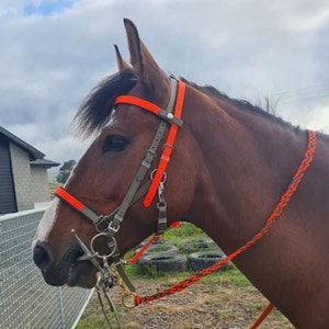 LS Deux 2-Part Padded Endurance Bridle - Customisable Beta® BioThane® Halter & Bridle in One