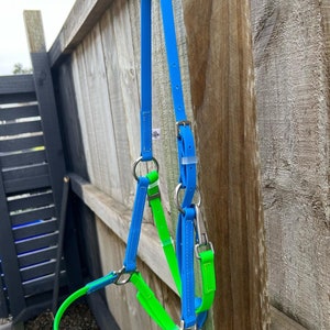 Design Your Own - LS Deux Halter - Biothane