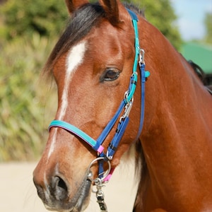 LS Monty Endurance Bridle | Custom BioThane® Bridle for Sensitive Horses | Bespoke Horse Tack