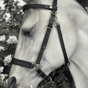 May include: Black leather horse bridle with silver-tone hardware. The bridle features a browband, noseband, and cheek pieces, all connected with buckles and rings. The bridle is on a gray horse head statue.