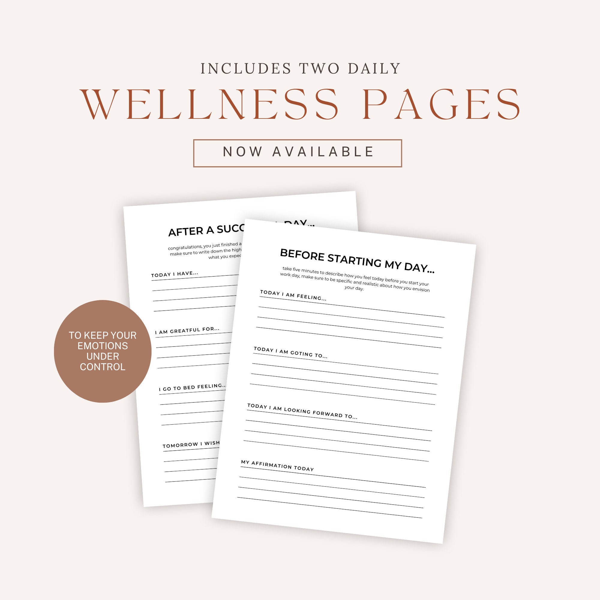 Entrepreneur Planner Printable Printable Entrepreneur Agenda ...