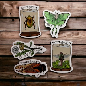 S E R I E S  1 // Rooted Society Stickers