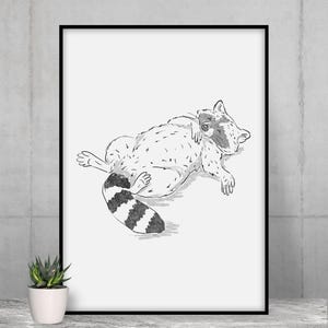 Poster con stampa artistica Schlurpi&#39;s Naptime, procione che dorme comodamente / Disponibile in 12&quot;x16&quot;, 14&quot;x18&quot;, 16&quot;x20&quot;, stampa artistica esclusiva, senza cornice