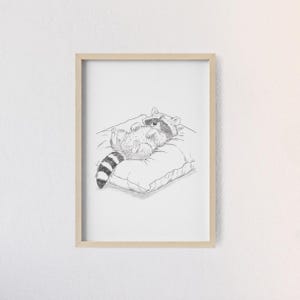 Sleepy Raccoon | Exclusive Fine Art Print A4 | Matte Framed Poster | Pencil Sketch Illustration of Schlurpi the Raccoon | US Shipping