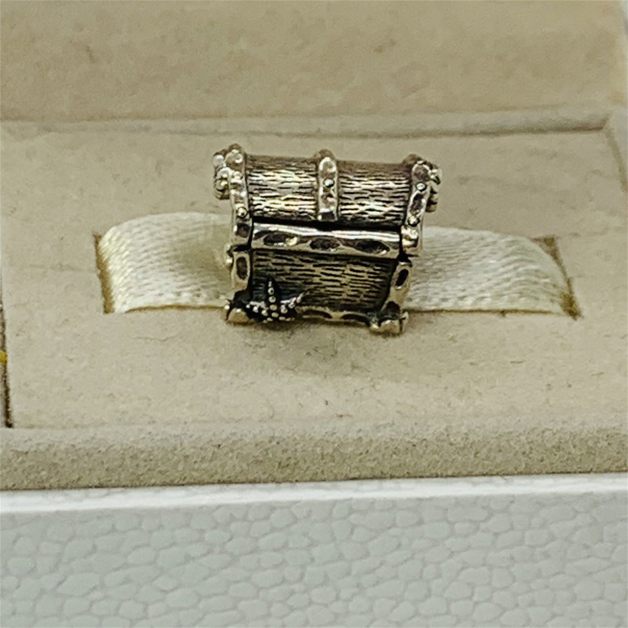 Pandora princess and hot sale the pea charm