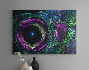 Zebrafish Vascular System Art Print: Laser Microscopy Science Decor