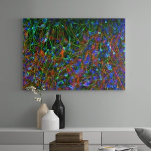 May include: Abstract art print featuring a colorful, intricate network of lines and dots in shades of green, blue, orange, and red. The print is displayed on a wall in a modern living room setting.
