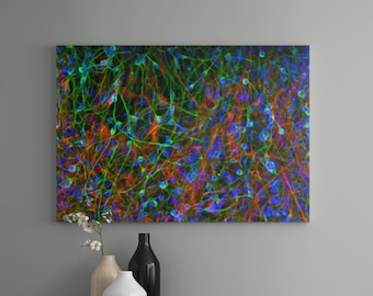 Impresión artística de neurona: micrografía confocal, póster de neurociencia