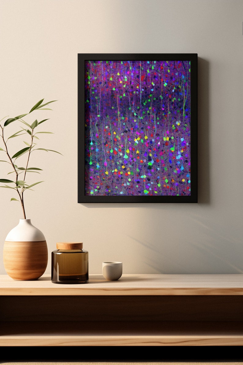 Brainbow Cortex Art Print: Multicolor Neurons, Neurology Artwork - Etsy