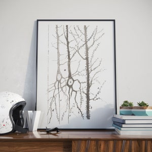 Può includere: Illustrazione in bianco e nero di un neurone, un tipo di cellula nervosa, con dendriti e un assone. L'illustrazione è incorniciata ed esposta su un muro.