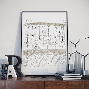 Può includere: Disegno a linea in bianco e nero di un'illustrazione scientifica di un neurone, o cellula nervosa, con il testo "Fig. 38 3/4" nell'angolo in alto a destra. L'immagine è incorniciata da una cornice nera e appesa a un muro bianco.