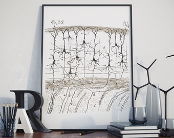 以下が含まれることがあります： 白黒の線画で描かれた、ニューロンまたは神経細胞の科学的イラスト。右上に「Fig. 38 3/4」の文字が書かれている。画像は黒い額縁に収められ、白い壁に掛けられている。