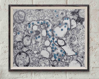 Impresión artística del virus COVID-19: Descubriendo el mundo microscópico